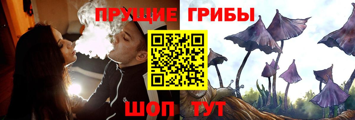 Псилоцибиновые грибы Psilocybine cubensis Новороссийск
