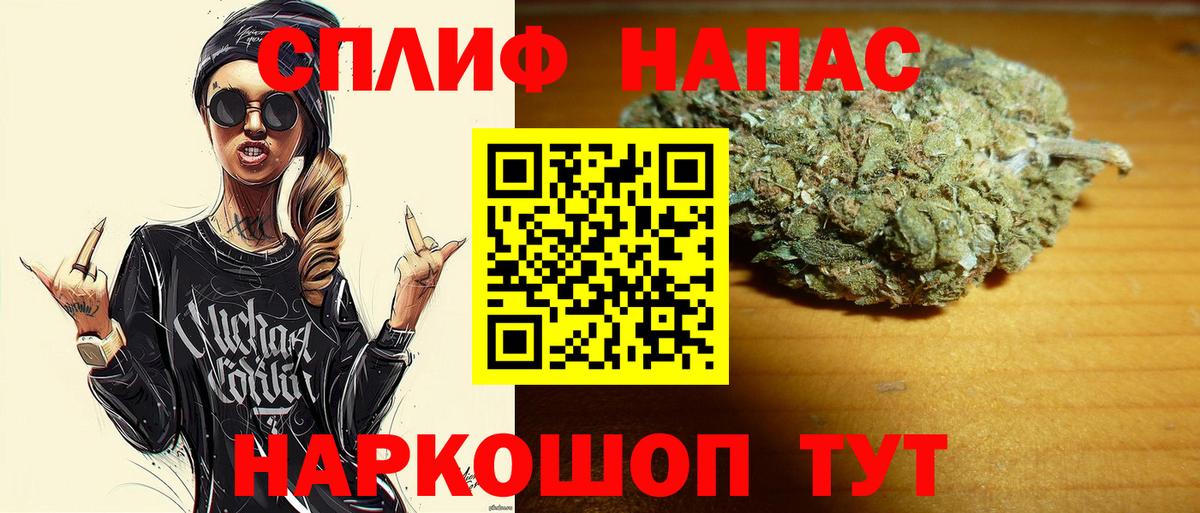 Шишки марихуана сатива  Конопля AK-47  Конопля AK-47  Вход с VPN  Новороссийск 